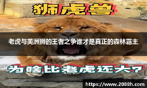 伟德老虎与美洲狮的王者之争谁才是真正的森林霸主